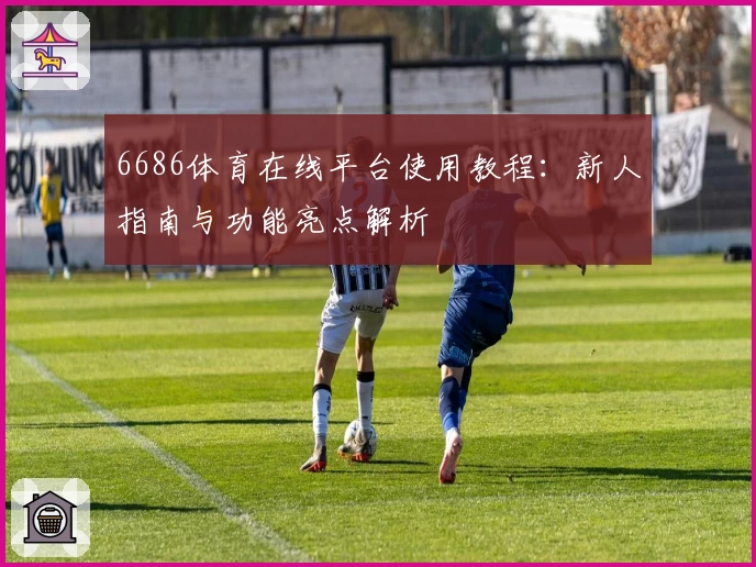 6686体育在线平台使用教程:新人指南与功能亮点解析